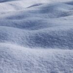 日本の三大杜氏　越後杜氏