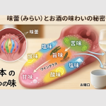 味蕾（みらい）とお酒の味わいの秘密